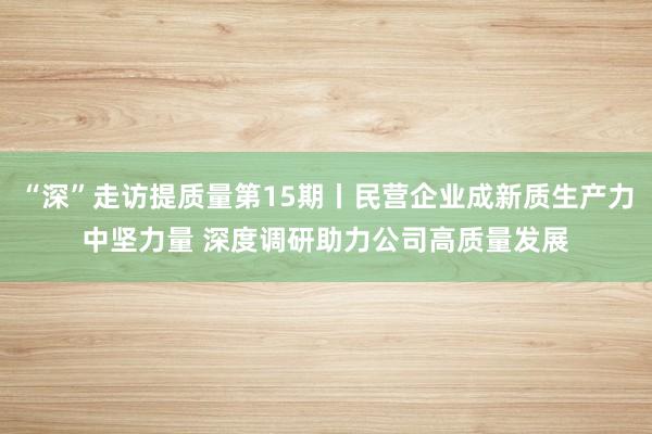 “深”走访提质量第15期丨民营企业成新质生产力中坚力量 深度调研助力公司高质量发展